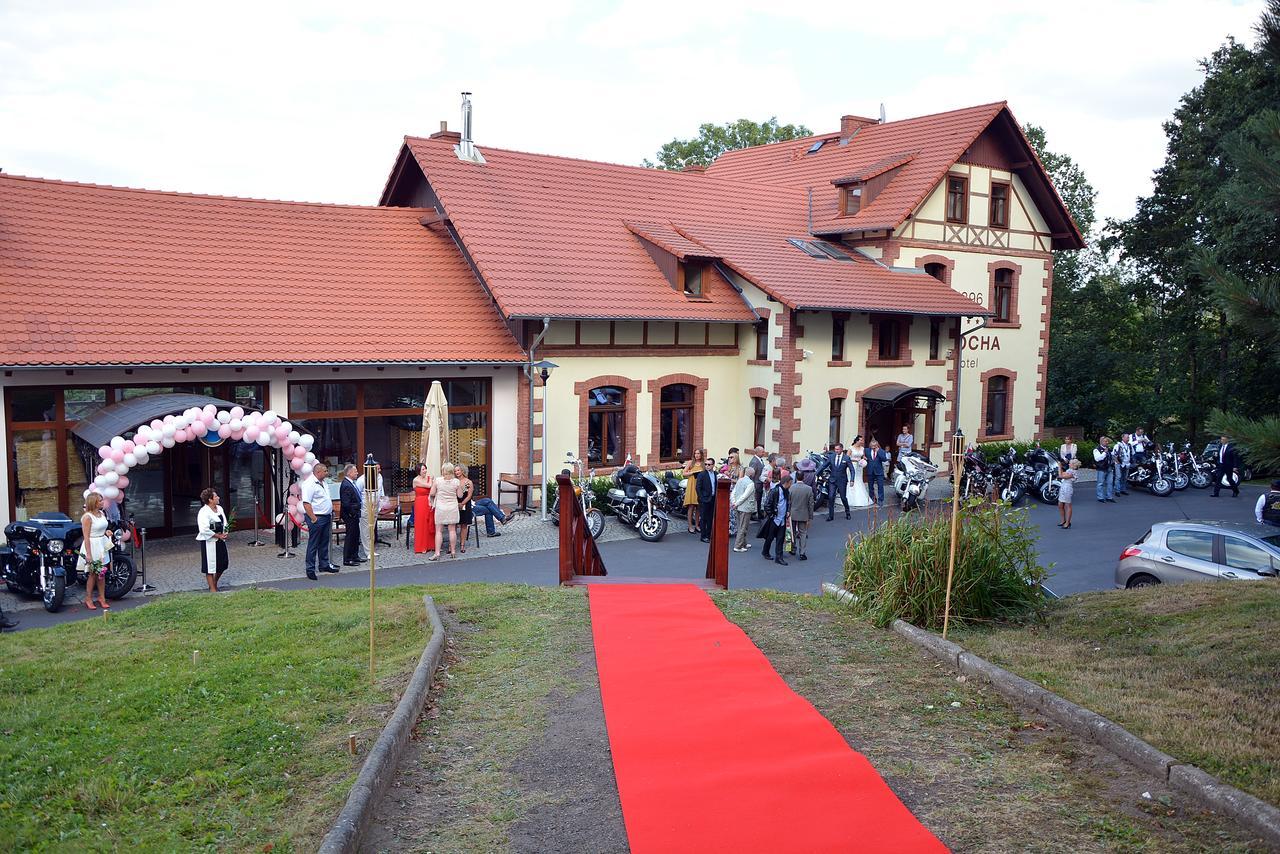 Czocha Palace&Czocha Camping - Or Czocha Lesna Exterior photo